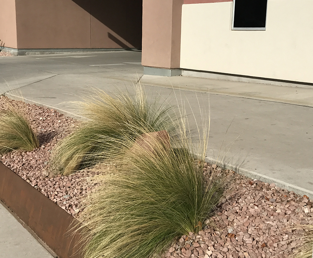 hotel front grasses