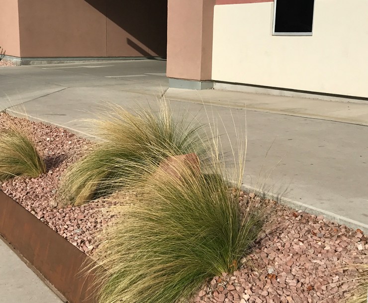 hotel front grasses