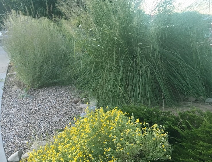 textures city for web