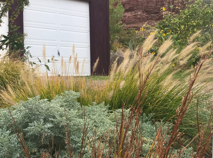 web garage grass artemisia