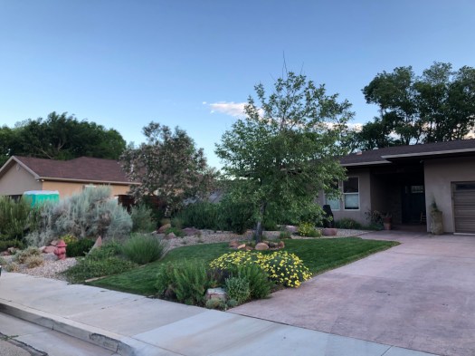 141D7762-EA78-48E7-8C65-03E227BD46A5